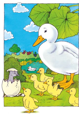 Illustration: Jürgen Pankarz