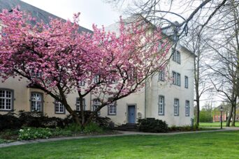 Büroeingang zum städtischen Kulturamt im Frühling (Foto: Tina Hirop)